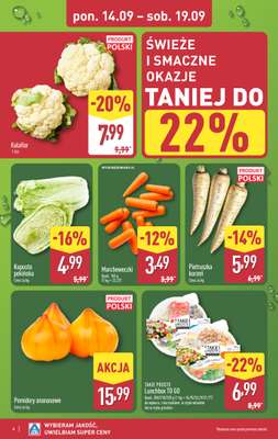 Aldi - gazetka promocyjna Pełny katalog! od poniedziałku 14.09 do soboty 19.09 - strona 4