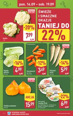 Aldi - gazetka promocyjna Pełny katalog! od poniedziałku 14.09 do soboty 19.09 - strona 4