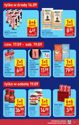 Aldi - gazetka promocyjna Pełny katalog! od poniedziałku 14.09 do soboty 19.09 - strona 19