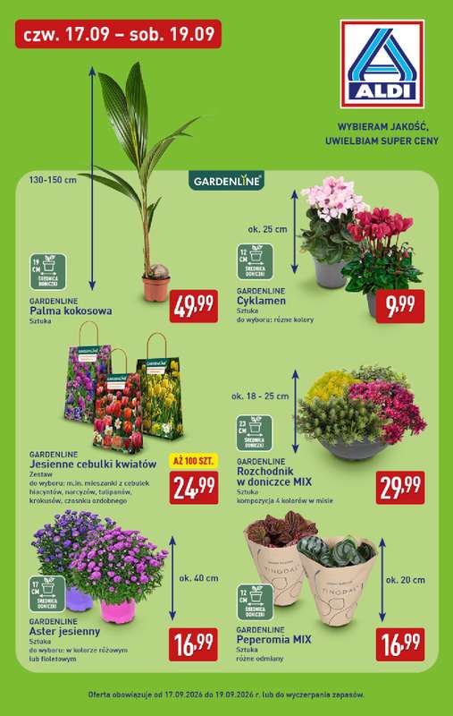 Aldi - gazetka promocyjna Pełny katalog! od poniedziałku 14.09 do soboty 19.09 - strona 31