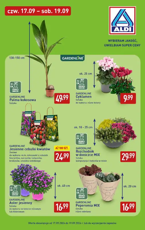 Aldi - gazetka promocyjna Pełny katalog! od poniedziałku 14.09 do soboty 19.09 - strona 31