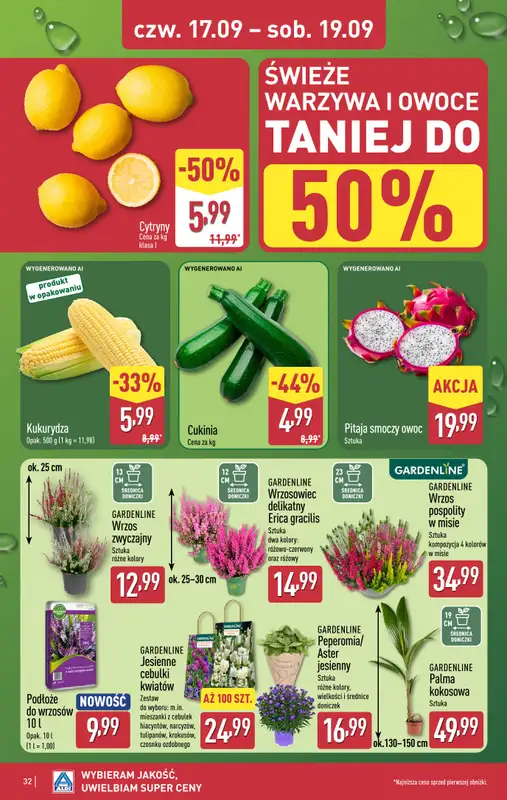 Aldi - gazetka promocyjna Pełny katalog! od poniedziałku 14.09 do soboty 19.09 - strona 32