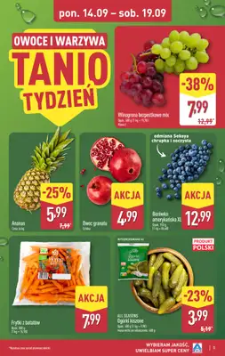 Aldi - gazetka promocyjna Pełny katalog! od poniedziałku 14.09 do soboty 19.09 - strona 5