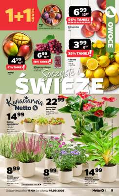 Netto - gazetka promocyjna Gazetka spożywcza od poniedziałku 14.09 do soboty 19.09 - strona 9