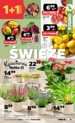 Netto - gazetka promocyjna Gazetka spożywcza od poniedziałku 14.09 do soboty 19.09 - strona 9