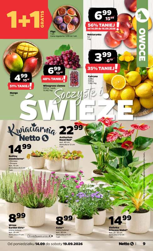 Netto - gazetka promocyjna Gazetka spożywcza od poniedziałku 14.09 do soboty 19.09 - strona 9