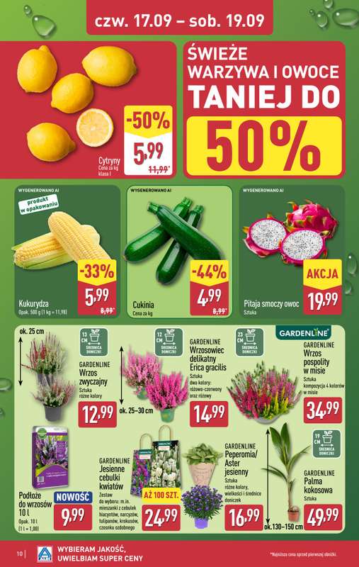Aldi - gazetka promocyjna Weekend super cen w Aldi! od czwartku 17.09 do soboty 19.09 - strona 10