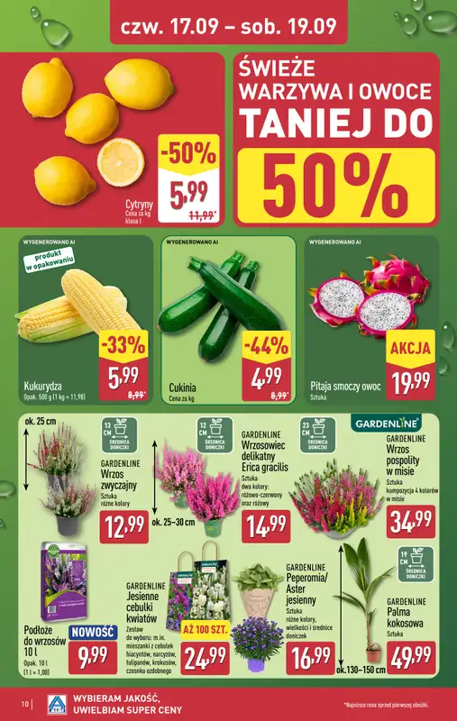 Aldi - gazetka promocyjna Weekend super cen w Aldi! od czwartku 17.09 do soboty 19.09 - strona 10