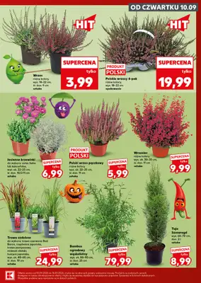 Kaufland - gazetka promocyjna Oferta Kaufland - SUPER SOBOTA od soboty 12.09 do soboty 12.09 - strona 9