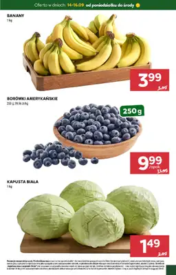 Stokrotka - gazetka promocyjna Hity na start od poniedziałku 14.09 do środy 16.09 - strona 3