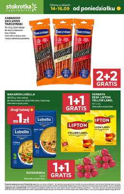 Stokrotka - gazetka promocyjna Hity na start od poniedziałku 14.09 do środy 16.09