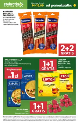 Stokrotka - gazetka promocyjna Hity na start od poniedziałku 14.09 do środy 16.09