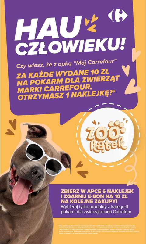 Carrefour - gazetka promocyjna Gazetka Carrefour od poniedziałku  do soboty 19.09 - strona 53