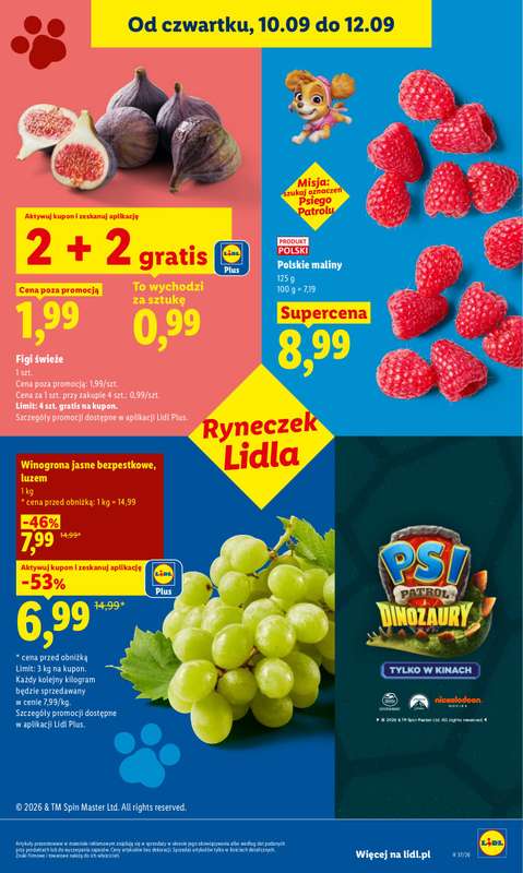 Lidl - gazetka promocyjna Oferta od czwartku od czwartku 10.09 do soboty 12.09 - strona 45