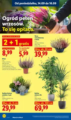 Lidl - gazetka promocyjna Oferta od poniedziałku od poniedziałku 14.09 do środy 16.09 - strona 78