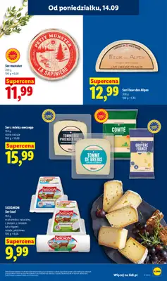 Lidl - gazetka promocyjna Oferta od poniedziałku od poniedziałku 14.09 do środy 16.09 - strona 47