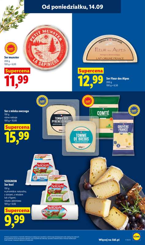 Lidl - gazetka promocyjna Oferta od poniedziałku od poniedziałku 14.09 do środy 16.09 - strona 47