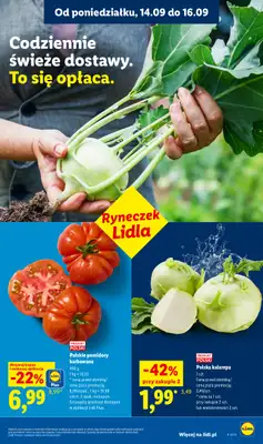 Lidl - gazetka promocyjna Oferta od poniedziałku od poniedziałku 14.09 do środy 16.09 - strona 29