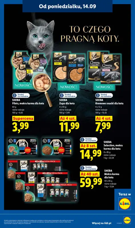 Lidl - gazetka promocyjna Oferta od poniedziałku od poniedziałku 14.09 do środy 16.09 - strona 75