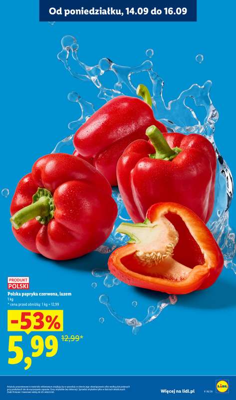 Lidl - gazetka promocyjna Oferta od poniedziałku od poniedziałku 14.09 do środy 16.09 - strona 15