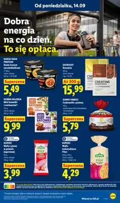 Lidl - gazetka promocyjna Oferta od poniedziałku od poniedziałku 14.09 do środy 16.09 - strona 45