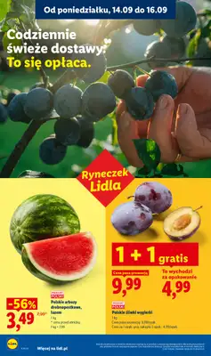 Lidl - gazetka promocyjna Oferta od poniedziałku od poniedziałku 14.09 do środy 16.09 - strona 28