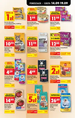 Biedronka - gazetka promocyjna Od poniedziałku od poniedziałku 14.09 do soboty 19.09 - strona 91