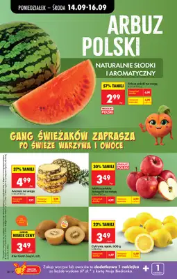 Biedronka - gazetka promocyjna Od poniedziałku od poniedziałku 14.09 do soboty 19.09 - strona 36
