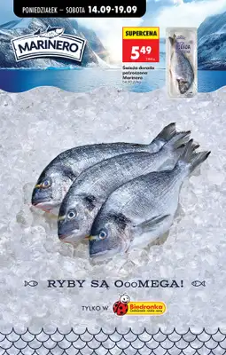 Biedronka - gazetka promocyjna Od poniedziałku, Z ladą tradycyjną od poniedziałku 14.09 do soboty 19.09 - strona 44