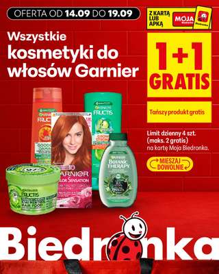 Biedronka - gazetka promocyjna Biedronkowe oszczędności od poniedziałku 14.09 do środy 16.09 - strona 19