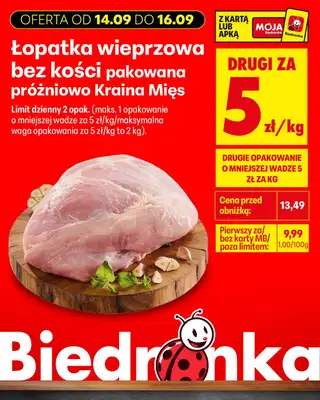 Biedronka - gazetka promocyjna Biedronkowe oszczędności od poniedziałku 14.09 do środy 16.09 - strona 9