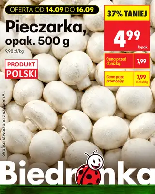 Biedronka - gazetka promocyjna Biedronkowe oszczędności od poniedziałku 14.09 do środy 16.09 - strona 4