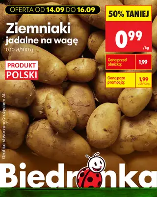 Biedronka - gazetka promocyjna Biedronkowe oszczędności od poniedziałku 14.09 do środy 16.09 - strona 5