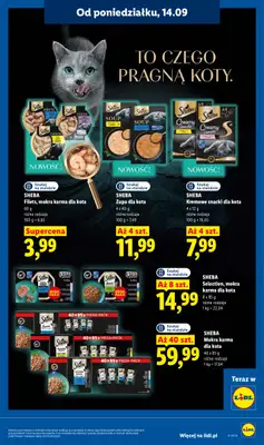 Lidl - gazetka promocyjna Oferta od poniedziałku od poniedziałku 14.09 do środy 16.09 - strona 75
