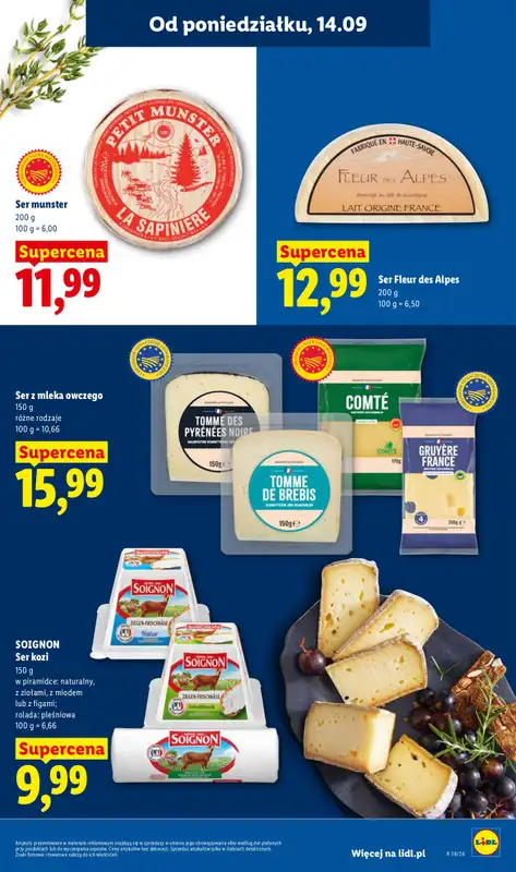 Lidl - gazetka promocyjna Oferta od poniedziałku od poniedziałku 14.09 do środy 16.09 - strona 47