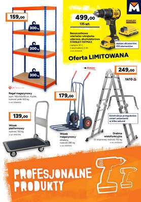 Bricoman - gazetka promocyjna Gazetka od poniedziałku 14.09 do niedzieli 11.10 - strona 13