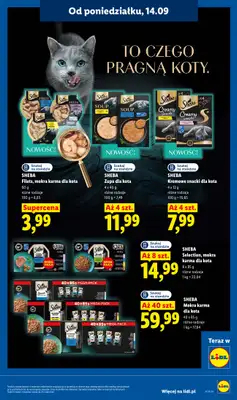 Lidl - gazetka promocyjna Oferta od poniedziałku od poniedziałku 14.09 do środy 16.09 - strona 81