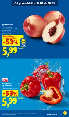 Lidl - gazetka promocyjna Oferta od poniedziałku od poniedziałku 14.09 do środy 16.09 - strona 21