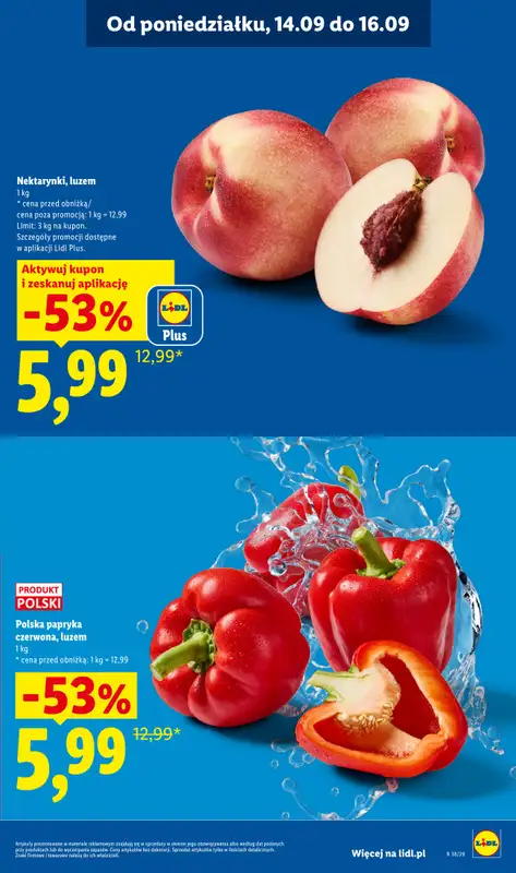 Lidl - gazetka promocyjna Oferta od poniedziałku od poniedziałku 14.09 do środy 16.09 - strona 21