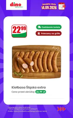 Dino - gazetka promocyjna Specjalna oferta na 14.09.2026 - promocje spoza gazetki od poniedziałku 14.09 do niedzieli 20.09 - strona 10