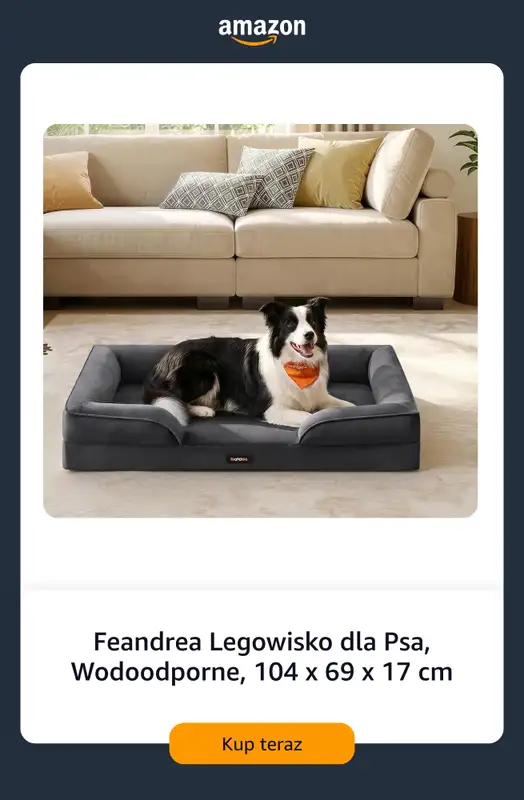 Amazon - gazetka promocyjna Akcesoria dla zwierząt od wtorku 15.09  - strona 2
