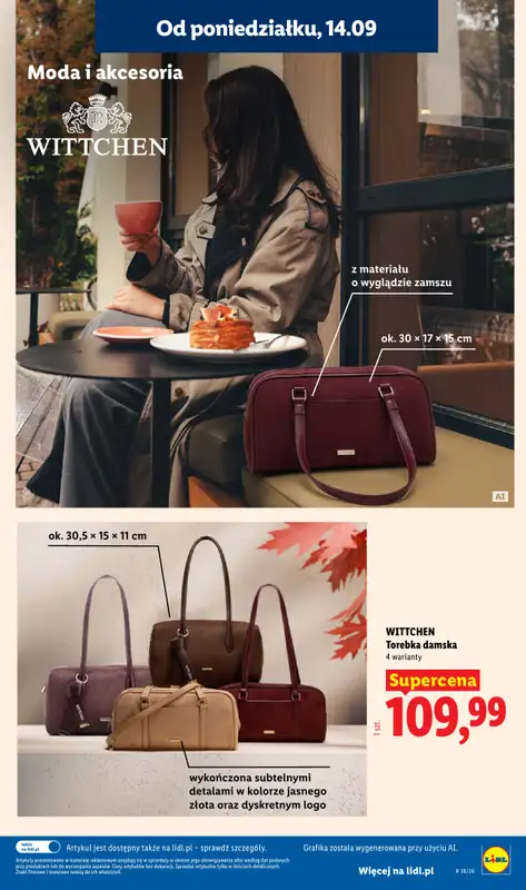 Lidl - gazetka promocyjna Oferta od poniedziałku od poniedziałku 14.09 do środy 16.09 - strona 31