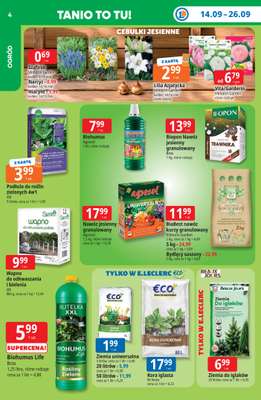 Leclerc - gazetka promocyjna Oferta E.Leclerc | Tanio to tu! od poniedziałku 14.09 do poniedziałku 21.09 - strona 4