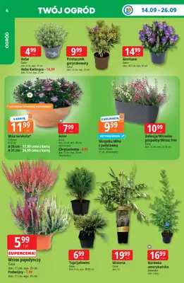 Leclerc - gazetka promocyjna Oferta E.Leclerc | Tanio to tu! od poniedziałku 14.09 do poniedziałku 21.09 - strona 4