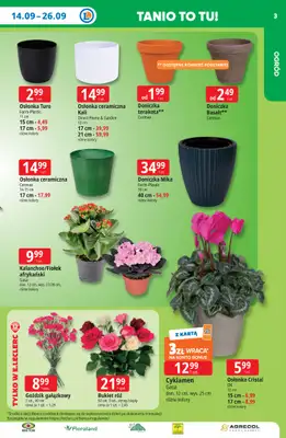 Leclerc - gazetka promocyjna Oferta E.Leclerc | Tanio to tu! od poniedziałku 14.09 do poniedziałku 21.09 - strona 3