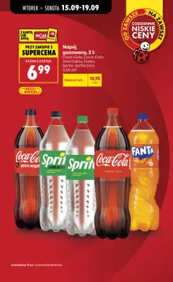 Biedronka - gazetka promocyjna Od poniedziałku od poniedziałku 14.09 do soboty 19.09 - strona 13
