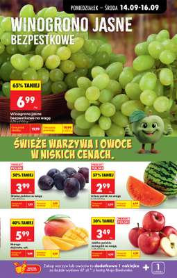 Biedronka - gazetka promocyjna Od poniedziałku od poniedziałku 14.09 do soboty 19.09 - strona 39