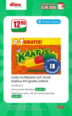 Dino - gazetka promocyjna Specjalna oferta na 15.09.2026 - promocje spoza gazetki od wtorku 15.09 do wtorku 15.09 - strona 10