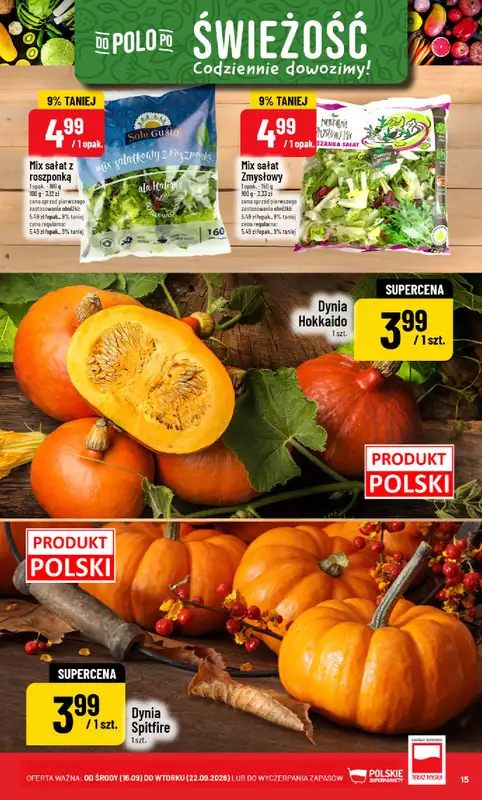 POLOmarket - gazetka promocyjna Gazetka od środy 16.09 do wtorku 22.09 - strona 15