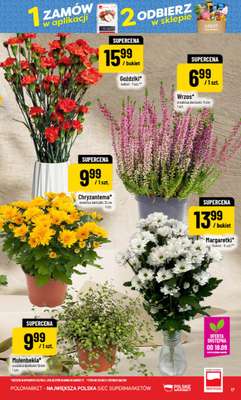 POLOmarket - gazetka promocyjna Gazetka od środy 16.09 do wtorku 22.09 - strona 17